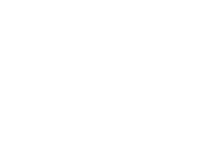 HOTEL ESTELAR