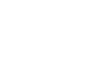 NIUBIZ