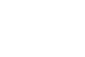 SWISS CAPITALS