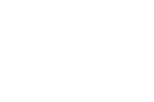 GRUPO SANTIS